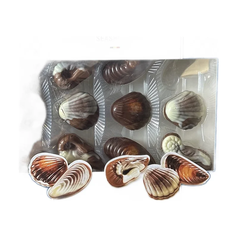 Cupido Shells Belgium
