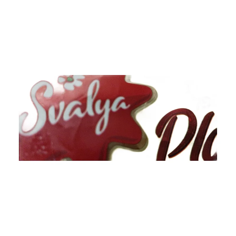Ice cream SVALYA PLOMBIR