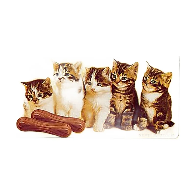 Kitty chocolate 100g